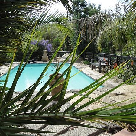 Pine Tree Lodge Midrand Extérieur photo