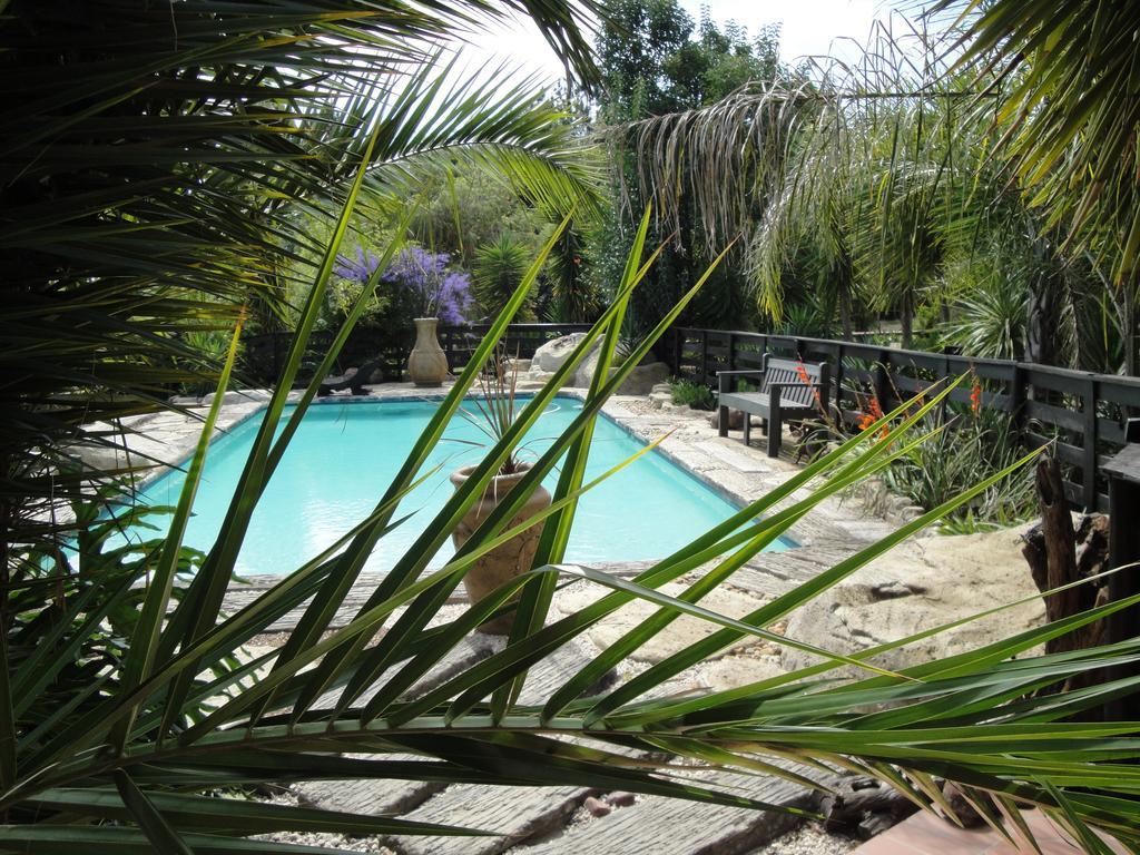 Pine Tree Lodge Midrand Extérieur photo