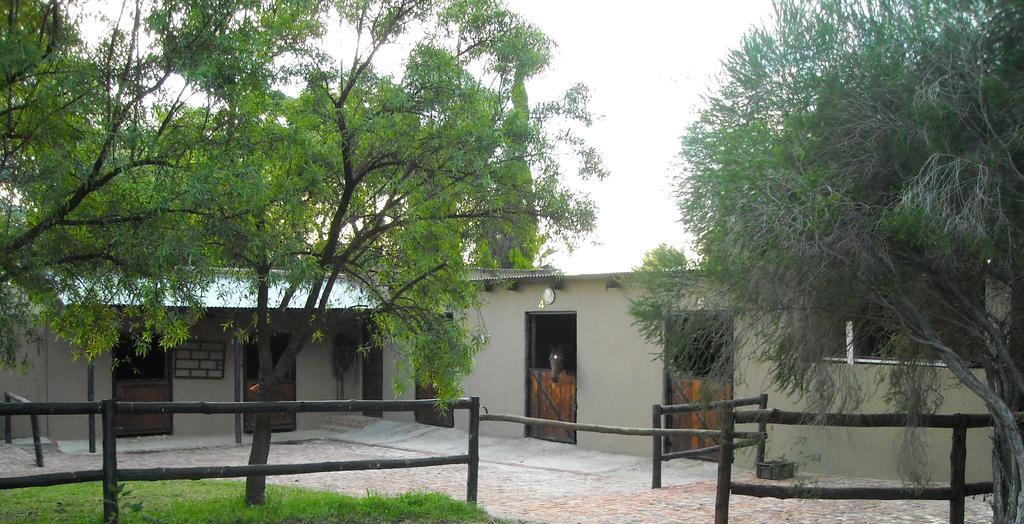 Pine Tree Lodge Midrand Extérieur photo