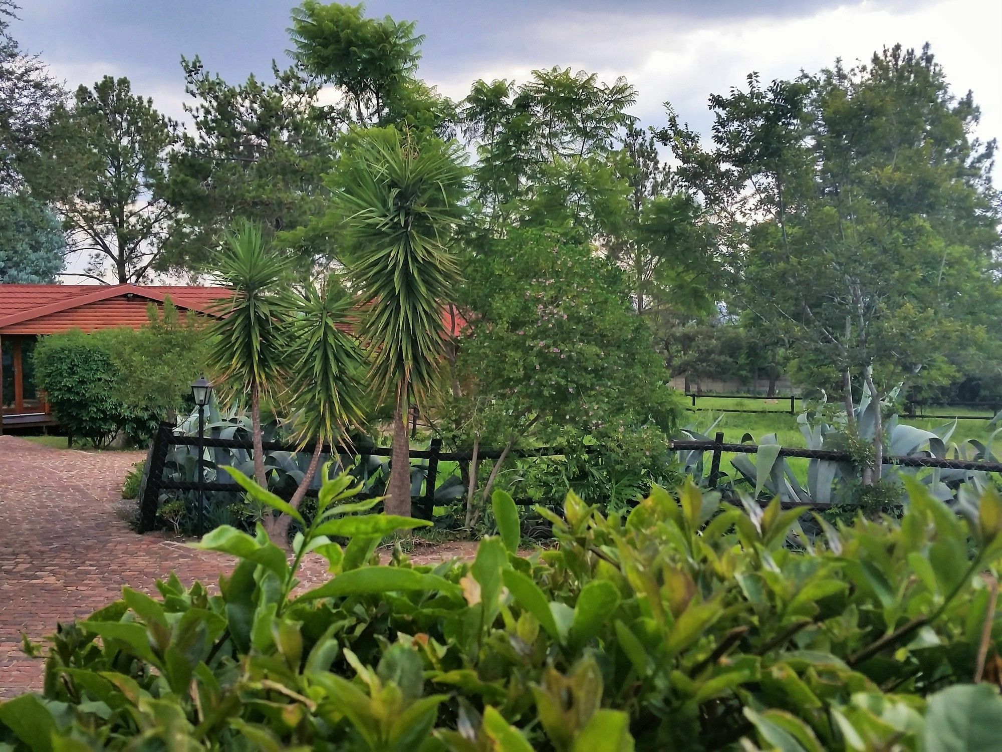 Pine Tree Lodge Midrand Extérieur photo